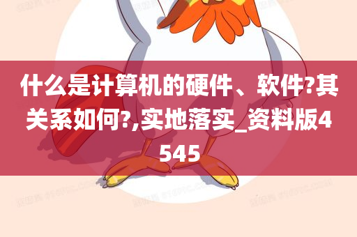 什么是计算机的硬件、软件?其关系如何?,实地落实_资料版4545
