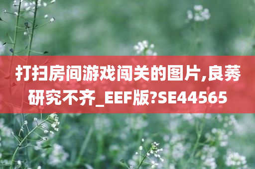 打扫房间游戏闯关的图片,良莠研究不齐_EEF版?SE44565