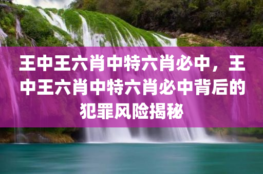 王中王六肖中特六肖必中，王中王六肖中特六肖必中背后的犯罪风险揭秘