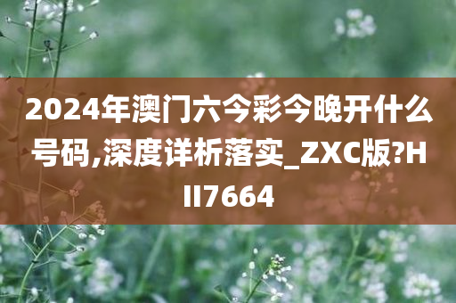 2024年澳门六今彩今晚开什么号码,深度详析落实_ZXC版?HII7664