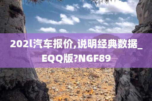 202l汽车报价,说明经典数据_EQQ版?NGF89