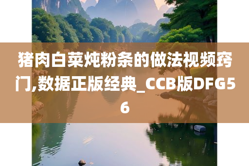 猪肉白菜炖粉条的做法视频窍门,数据正版经典_CCB版DFG56