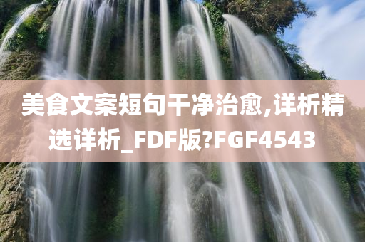 美食文案短句干净治愈,详析精选详析_FDF版?FGF4543