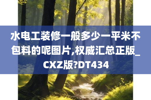 水电工装修一般多少一平米不包料的呢图片,权威汇总正版_CXZ版?DT434