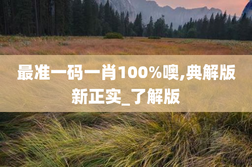 最准一码一肖100%噢,典解版新正实_了解版