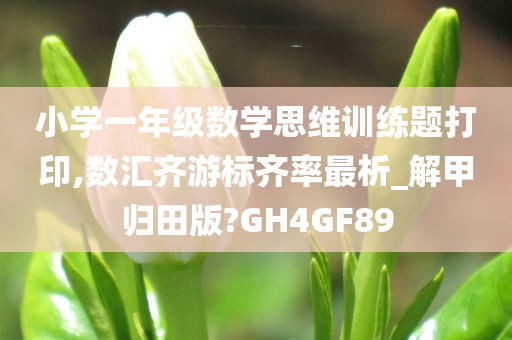 小学一年级数学思维训练题打印,数汇齐游标齐率最析_解甲归田版?GH4GF89