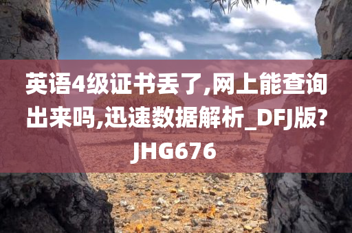英语4级证书丢了,网上能查询出来吗,迅速数据解析_DFJ版?JHG676