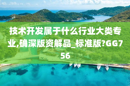 技术开发属于什么行业大类专业,确深版资解品_标准版?GG756