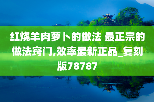 红烧羊肉萝卜的做法 最正宗的做法窍门,效率最新正品_复刻版78787