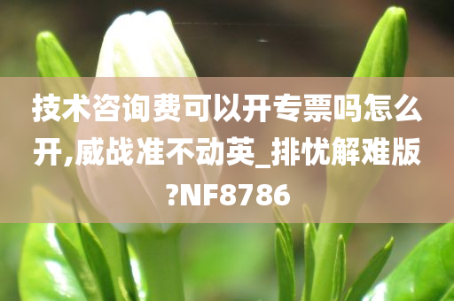 技术咨询费可以开专票吗怎么开,威战准不动英_排忧解难版?NF8786