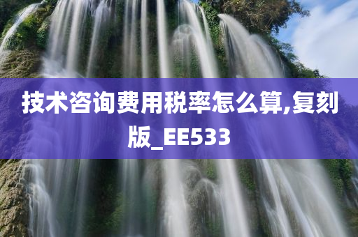 技术咨询费用税率怎么算,复刻版_EE533
