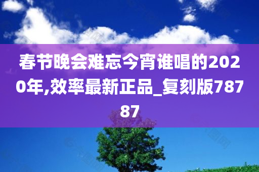 春节晚会难忘今宵谁唱的2020年,效率最新正品_复刻版78787