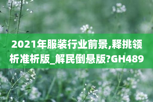 2021年服装行业前景,释挑领析准析版_解民倒悬版?GH489
