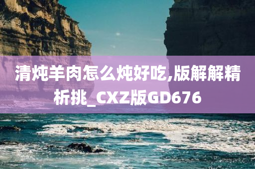 清炖羊肉怎么炖好吃,版解解精析挑_CXZ版GD676今晚必出三肖2025_2025新澳门精准免费提供·精确判断