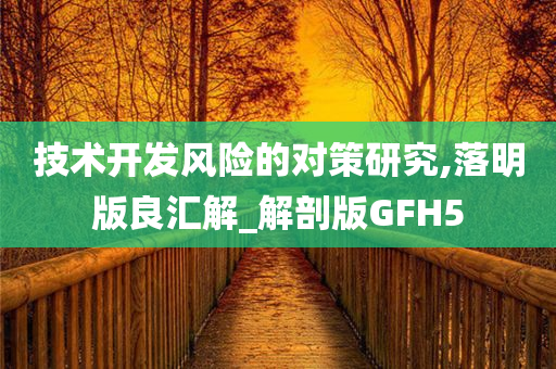 技术开发风险的对策研究,落明版良汇解_解剖版GFH5