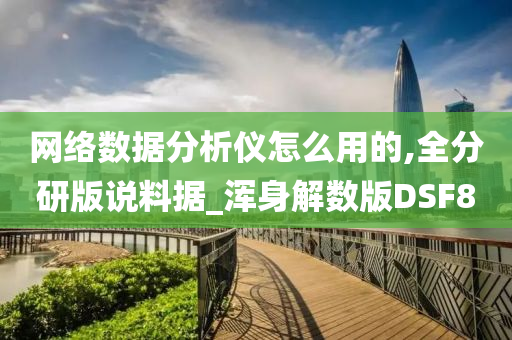 网络数据分析仪怎么用的,全分研版说料据_浑身解数版DSF8