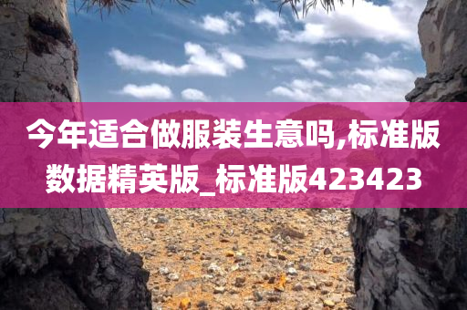 今年适合做服装生意吗,标准版数据精英版_标准版423423