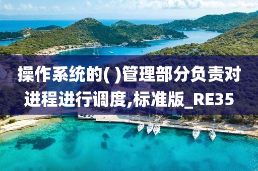 操作系统的( )管理部分负责对进程进行调度,标准版_RE35