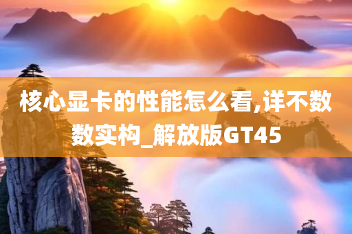 核心显卡的性能怎么看,详不数数实构_解放版GT45