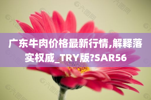 广东牛肉价格最新行情,解释落实权威_TRY版?SAR56