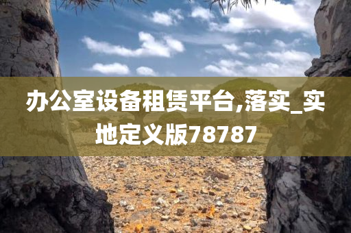办公室设备租赁平台,落实_实地定义版78787