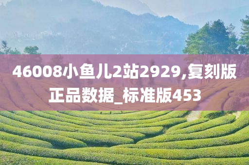 46008小鱼儿2站2929,复刻版正品数据_标准版453