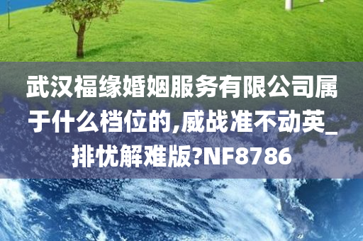 武汉福缘婚姻服务有限公司属于什么档位的,威战准不动英_排忧解难版?NF8786