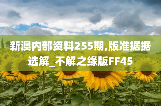 新澳内部资料255期,版准据据选解_不解之缘版FF45