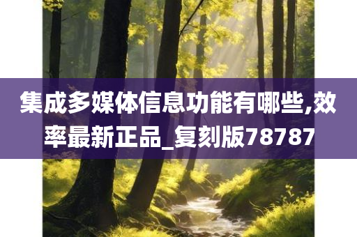集成多媒体信息功能有哪些,效率最新正品_复刻版78787