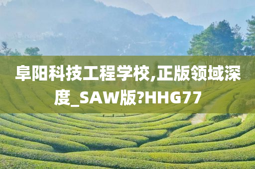 阜阳科技工程学校,正版领域深度_SAW版?HHG77