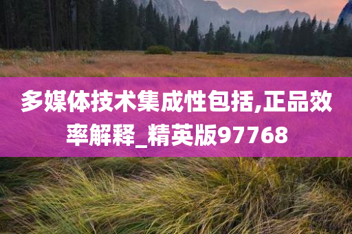 多媒体技术集成性包括,正品效率解释_精英版97768