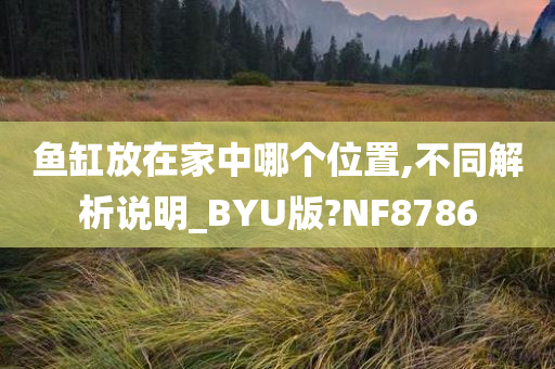 鱼缸放在家中哪个位置,不同解析说明_BYU版?NF8786