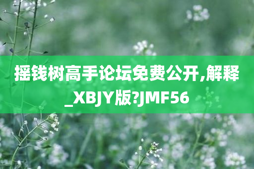 摇钱树高手论坛免费公开,解释_XBJY版?JMF56