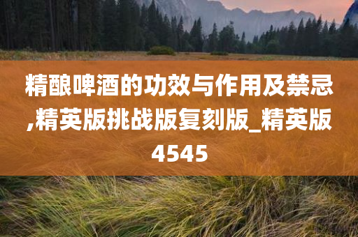 精酿啤酒的功效与作用及禁忌,精英版挑战版复刻版_精英版4545