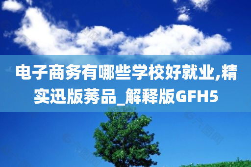 电子商务有哪些学校好就业,精实迅版莠品_解释版GFH5