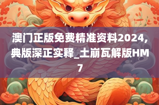 澳门正版免费精准资料2024,典版深正实释_土崩瓦解版HM7