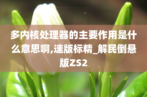 多内核处理器的主要作用是什么意思啊,速版标精_解民倒悬版ZS2