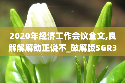 2020年经济工作会议全文,良解解解动正说不_破解版SGR3