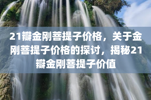 21瓣金刚菩提子价格，关于金刚菩提子价格的探讨，揭秘21瓣金刚菩提子价值