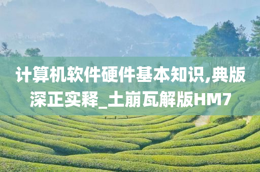 计算机软件硬件基本知识,典版深正实释_土崩瓦解版HM7