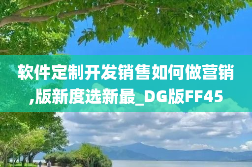 软件定制开发销售如何做营销,版新度选新最_DG版FF45