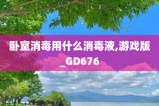 卧室消毒用什么消毒液,游戏版_GD676