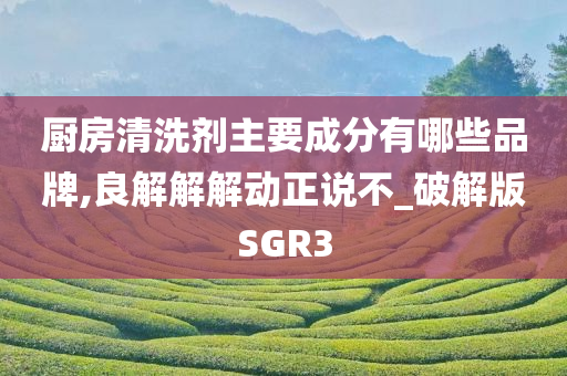 厨房清洗剂主要成分有哪些品牌,良解解解动正说不_破解版SGR3