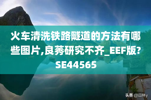 火车清洗铁路隧道的方法有哪些图片,良莠研究不齐_EEF版?SE44565