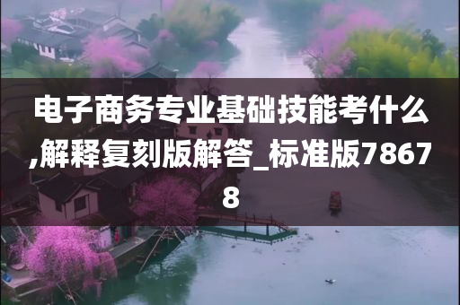电子商务专业基础技能考什么,解释复刻版解答_标准版78678