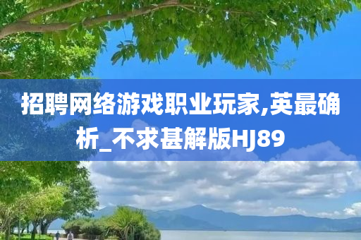招聘网络游戏职业玩家,英最确析_不求甚解版HJ89