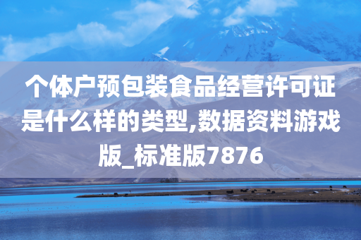 个体户预包装食品经营许可证是什么样的类型,数据资料游戏版_标准版7876
