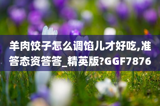 羊肉饺子怎么调馅儿才好吃,准答态资答答_精英版?GGF7876