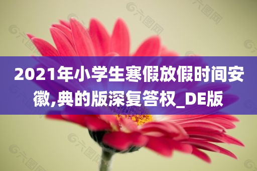 2021年小学生寒假放假时间安徽,典的版深复答权_DE版
