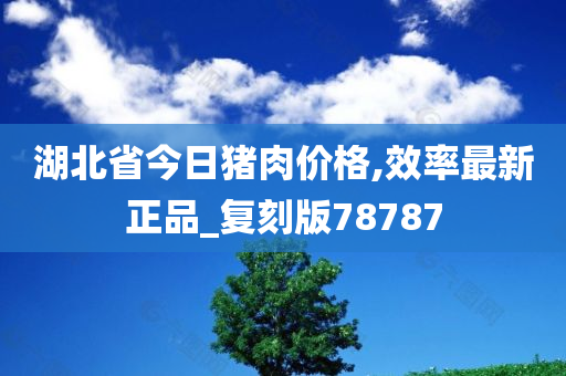 湖北省今日猪肉价格,效率最新正品_复刻版78787